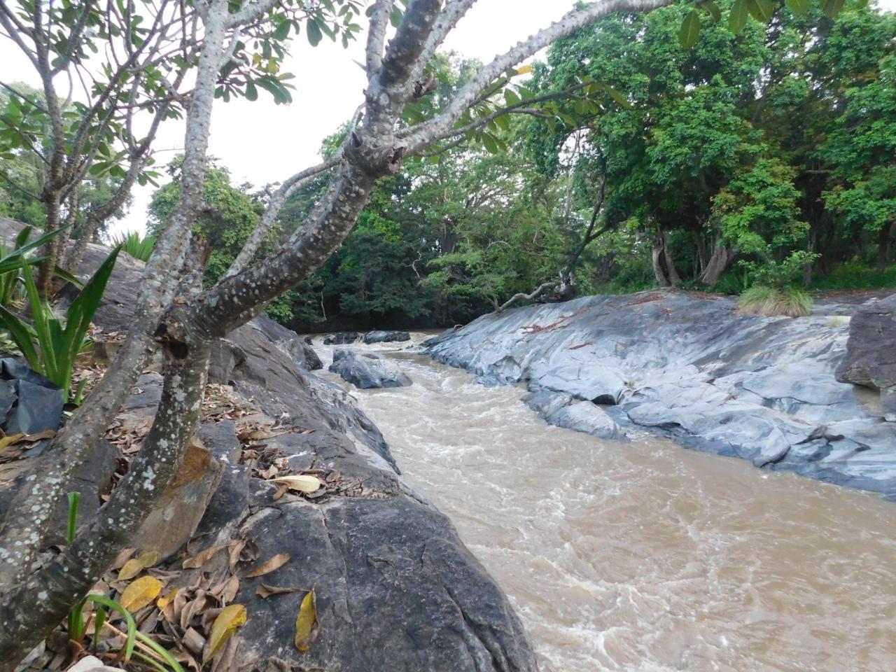 Galapita Eco Lodge Buttala Bagian luar foto
