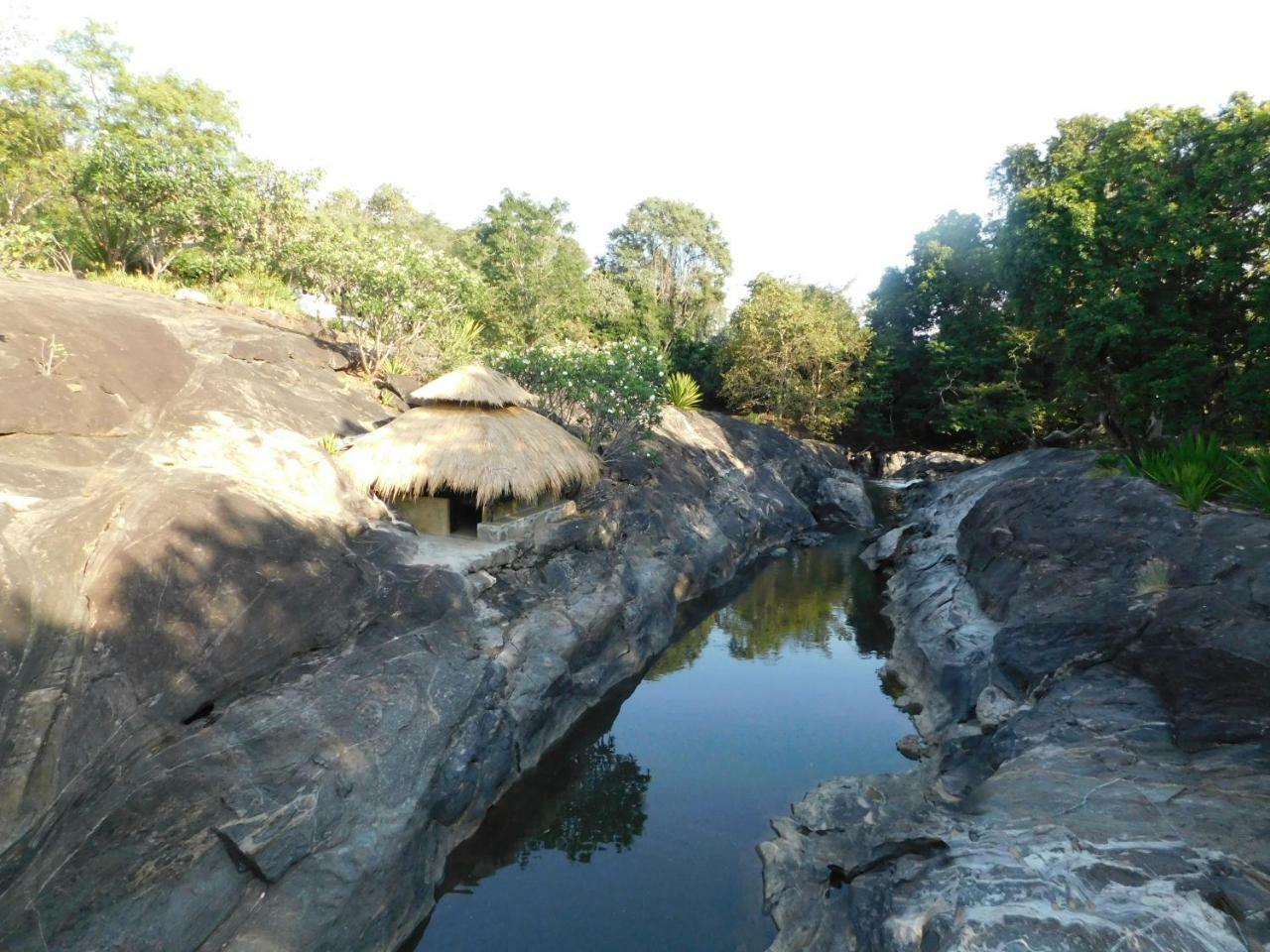 Galapita Eco Lodge Buttala Bagian luar foto