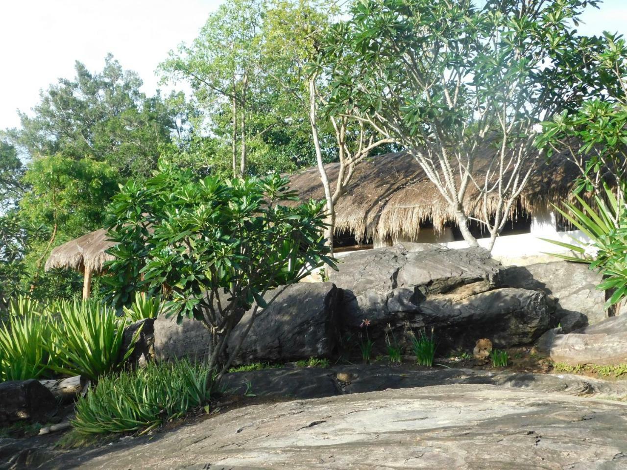 Galapita Eco Lodge Buttala Bagian luar foto