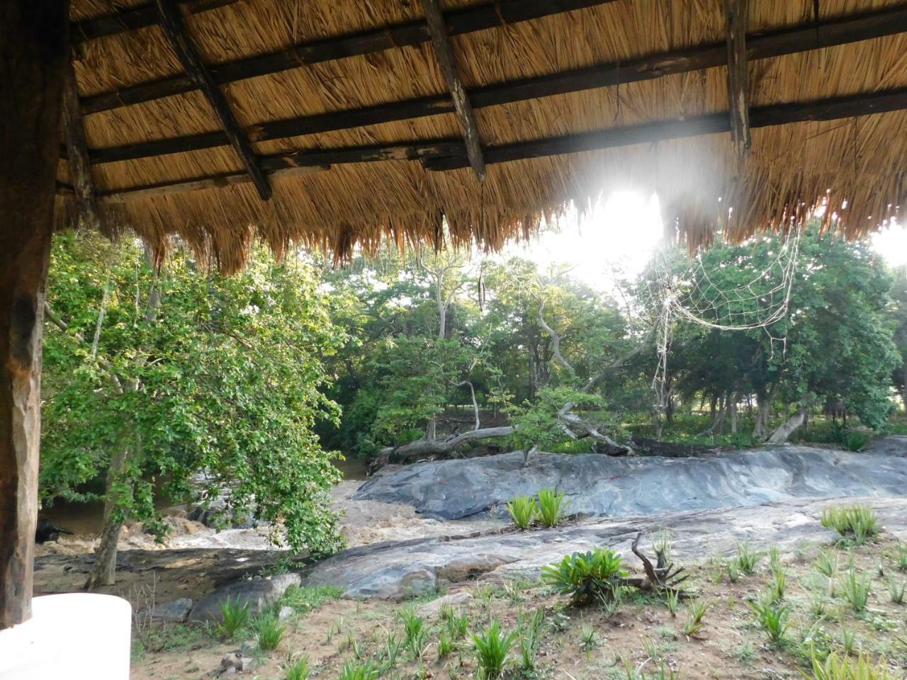 Galapita Eco Lodge Buttala Ruang foto