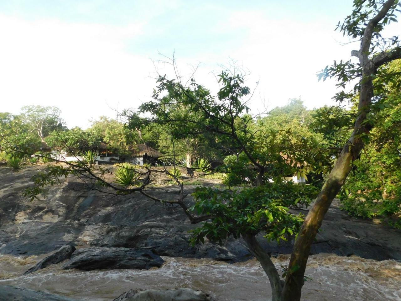 Galapita Eco Lodge Buttala Ruang foto