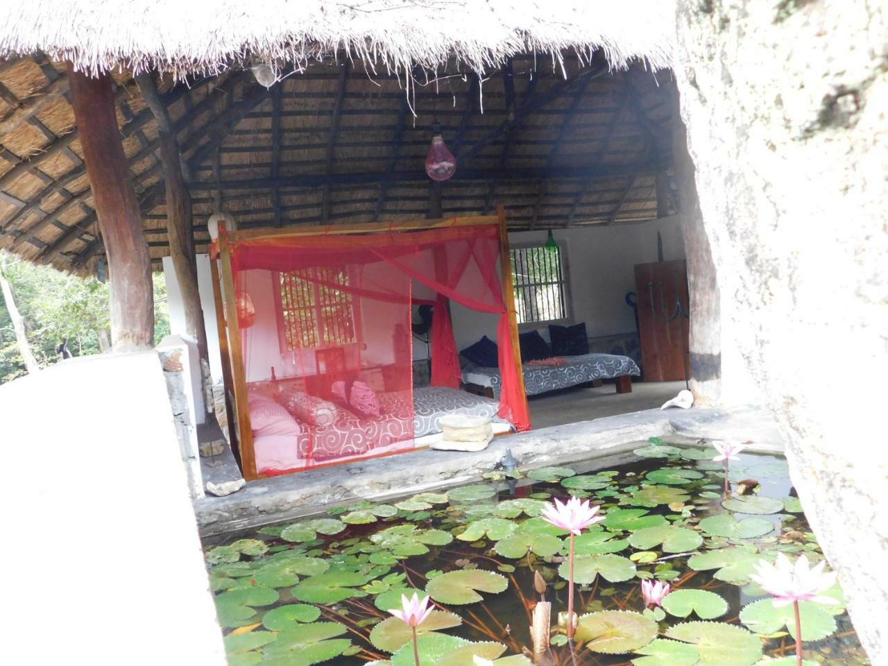 Galapita Eco Lodge Buttala Bagian luar foto