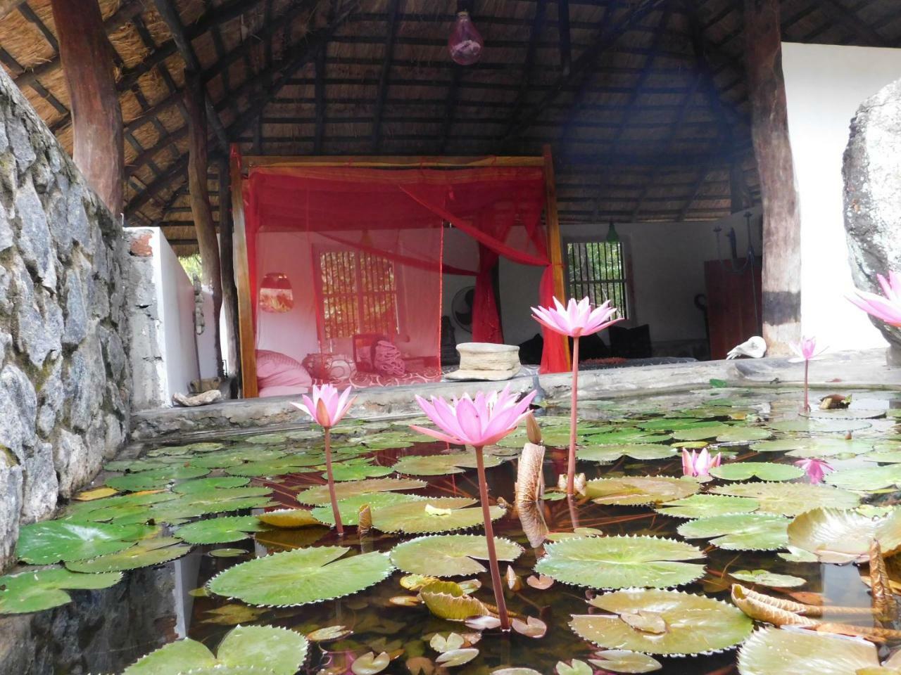Galapita Eco Lodge Buttala Ruang foto