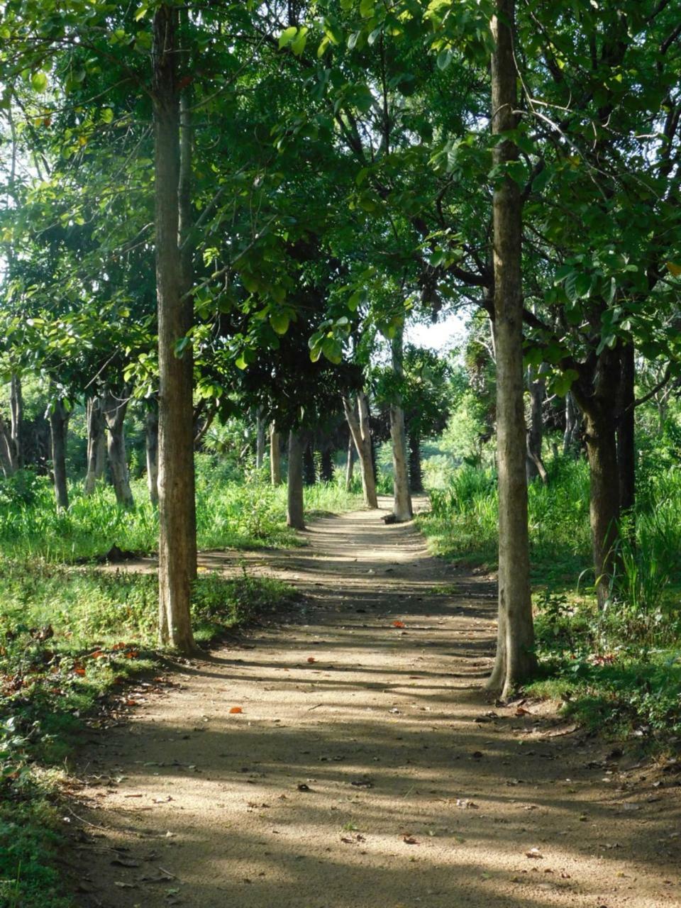 Galapita Eco Lodge Buttala Bagian luar foto