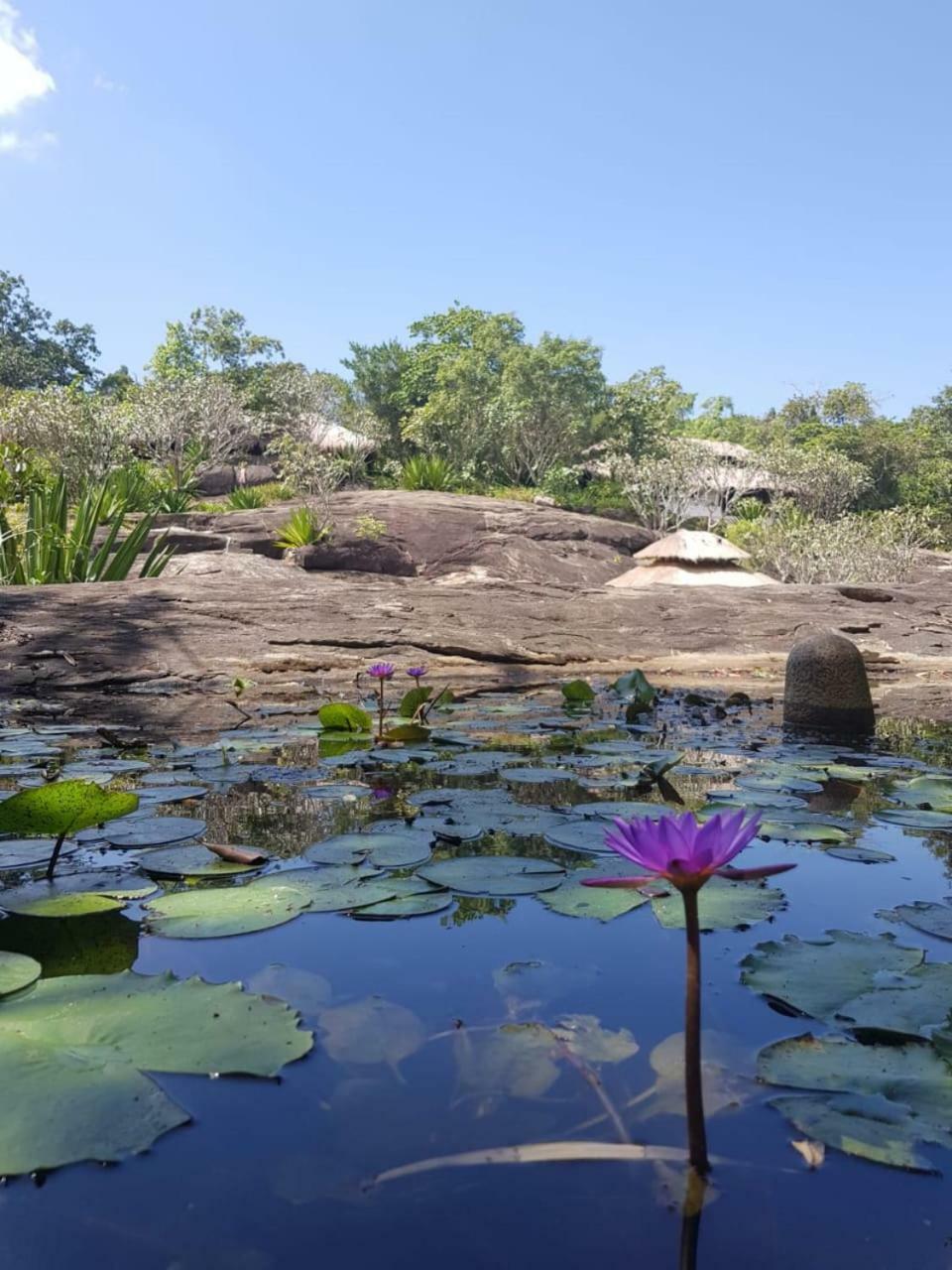 Galapita Eco Lodge Buttala Bagian luar foto