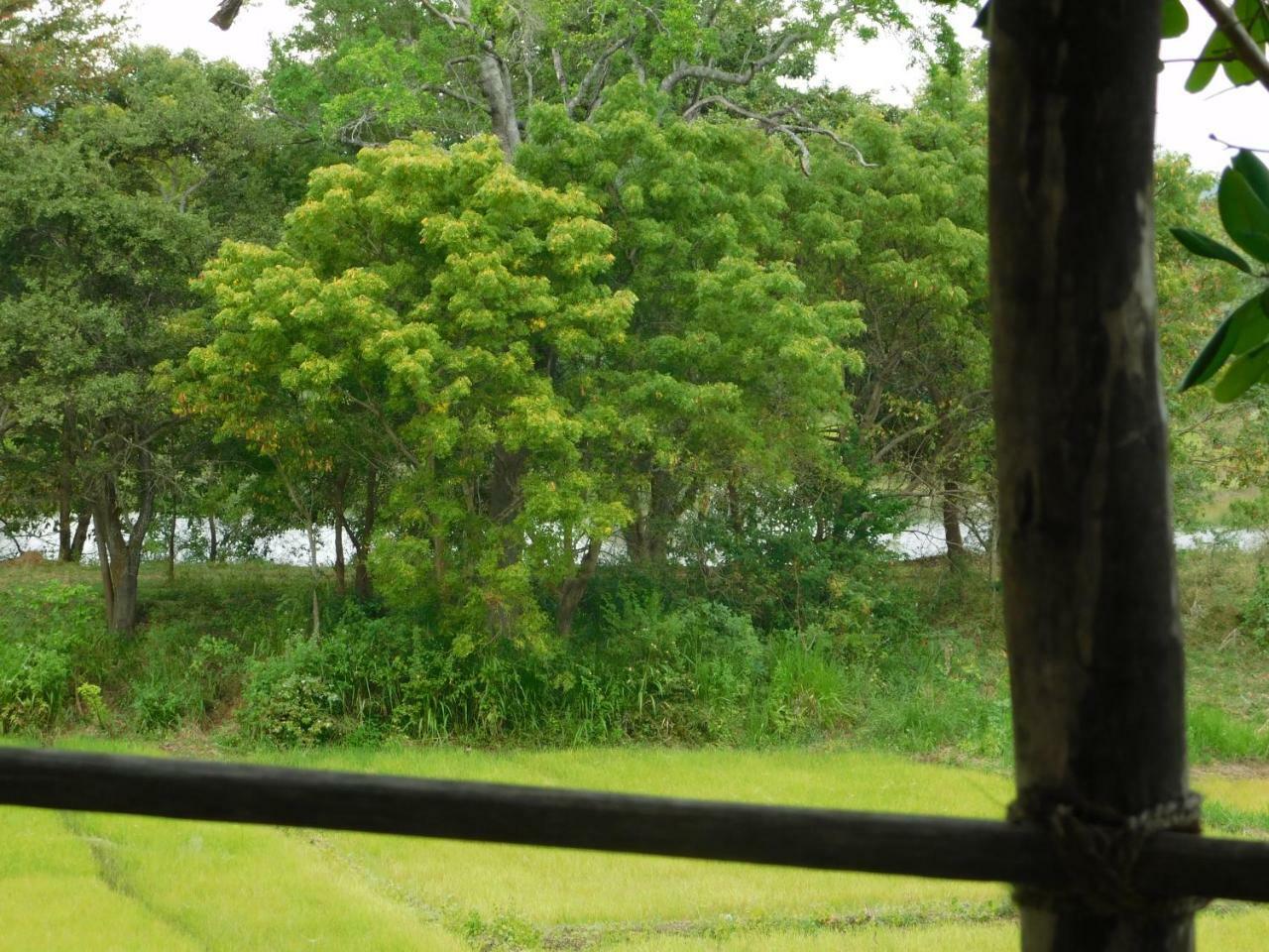Galapita Eco Lodge Buttala Bagian luar foto