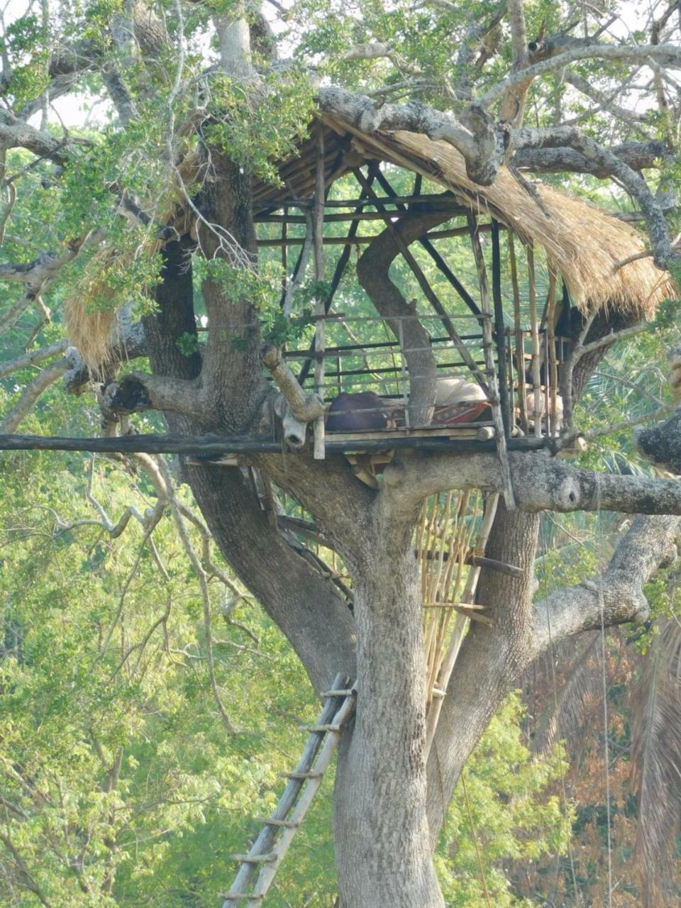 Galapita Eco Lodge Buttala Bagian luar foto
